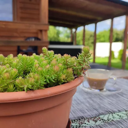 Mile Zacisze Lodge